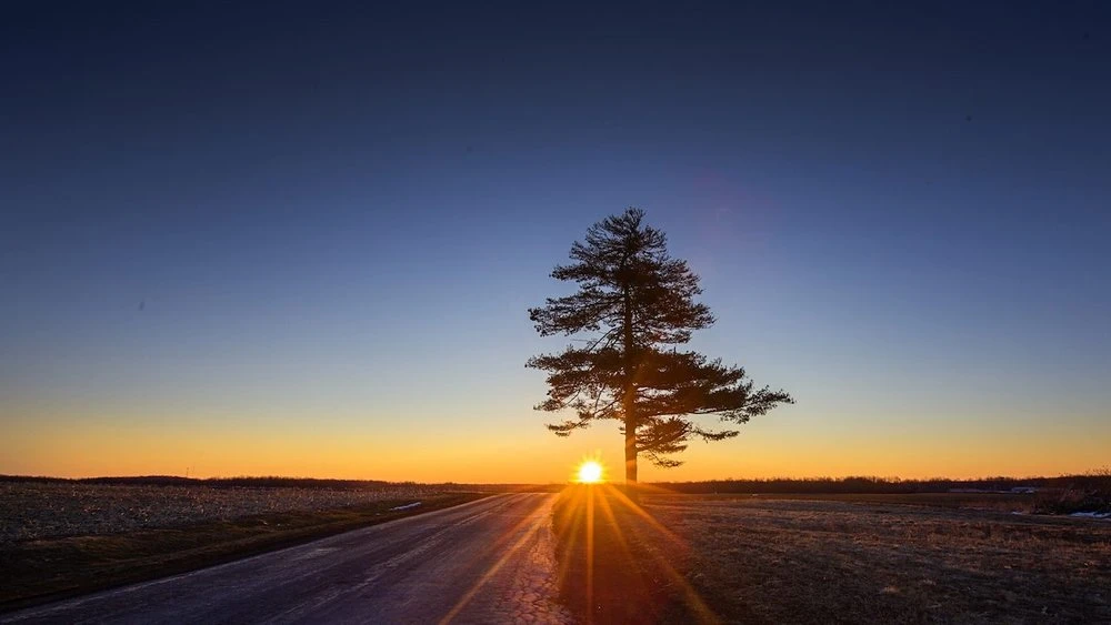 Daylight-1280x720.jpg
